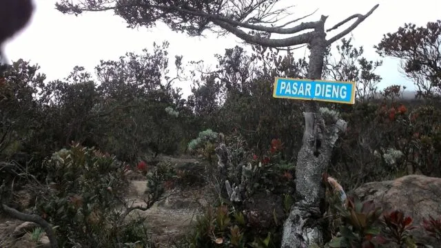 Arjuno, Gunung yang Menyimpan Banyak Kejadian Misterius di Balik Keindahannya. 13