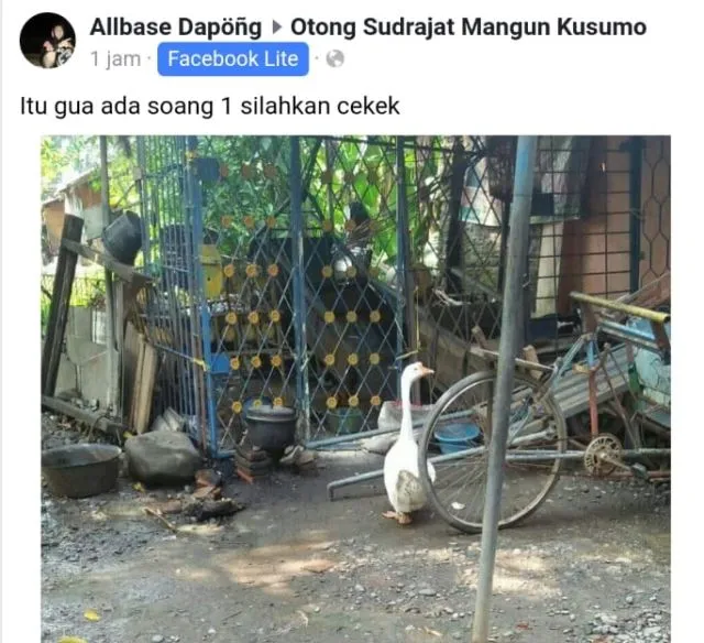 13 Status Kocak Otong Sudrajat, Bocah Penakluk Soang Asal Sunda. Aksinya Bikin Ngakak Sampai Mules 22
