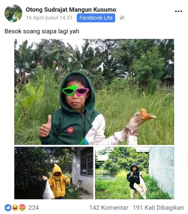 13 Status Kocak Otong Sudrajat, Bocah Penakluk Soang Asal Sunda. Aksinya Bikin Ngakak Sampai Mules 16