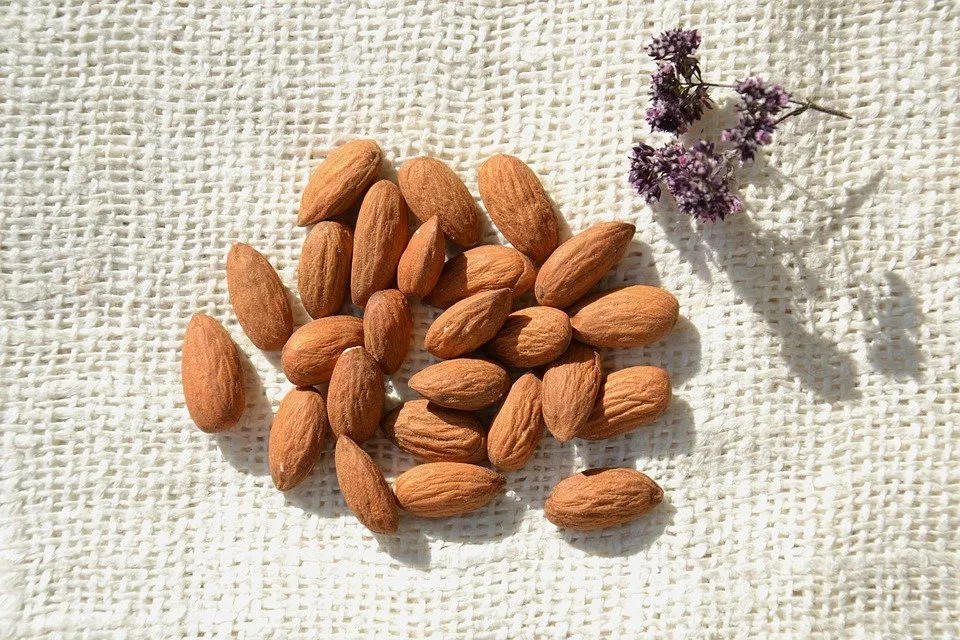 Girls! Ini Nih Manfaat Kacang Almond Buat Kita