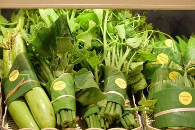 Ganti Plastik dengan Daun Pisang, Langkah Supermarket-supermarket Negara Tetangga Ini Layak Diikuti 8