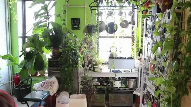 12 Ide Taman di Dalam Rumah Minimalis & Sederhana 16
