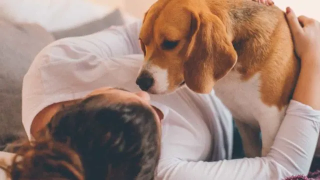 Menurut Studi Ini, Anjing Bisa dengan Akurat Cium 'Bau' Kanker. Akurasinya Bahkan Sampai 97% 6