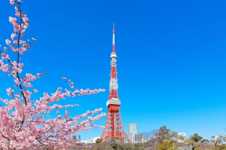 7 Destinasi Gratisan di Tokyo yang Harus Kamu Datangi. Keliling Semua Tempat Cuma Seharian Aja Lho! 6