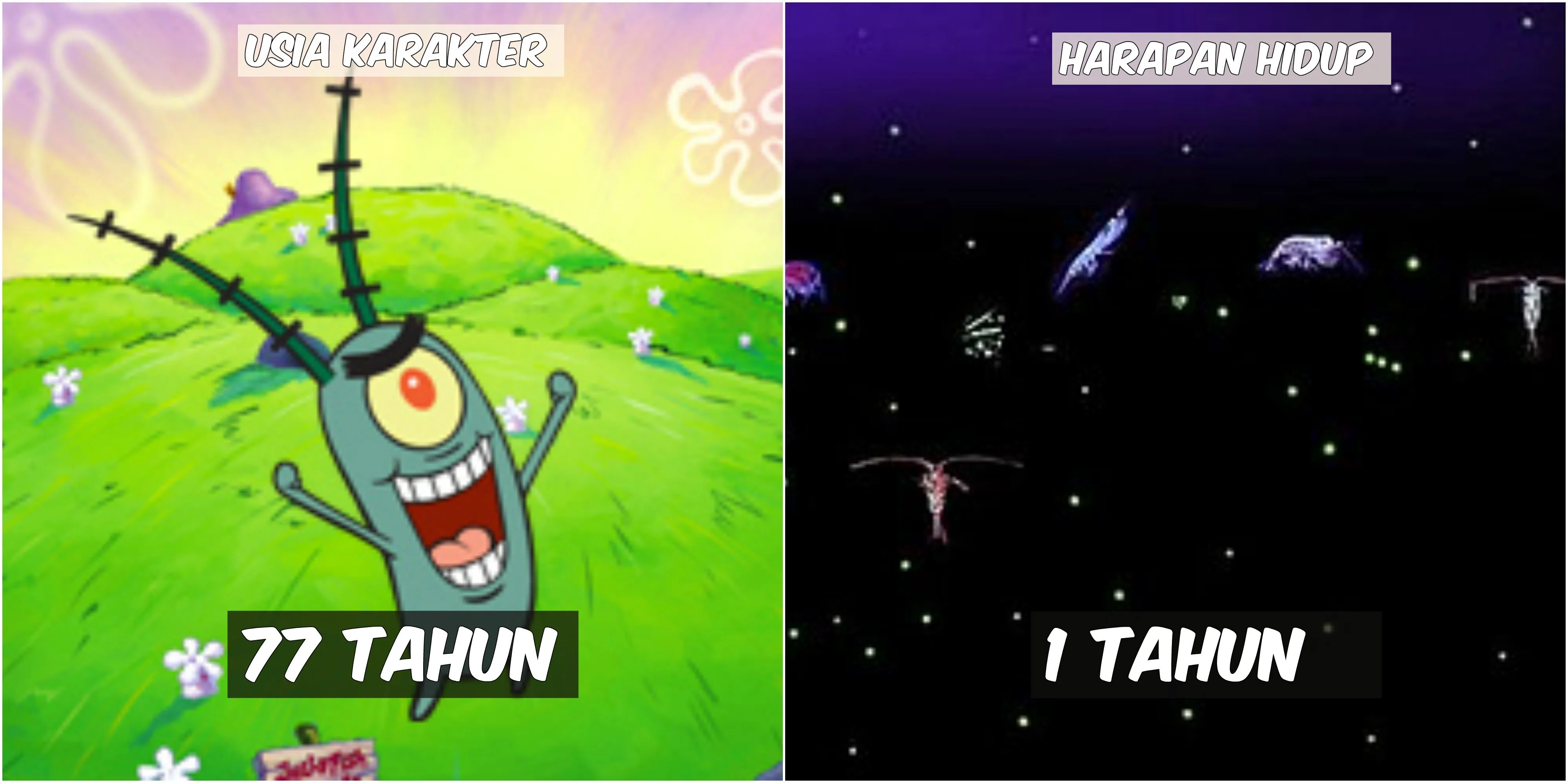 Usia 9 Karakter Spongebob VS Harapan Hidup Hewan di Lautan. Patrick Star Tinggal Setahun Lagi :(( 14