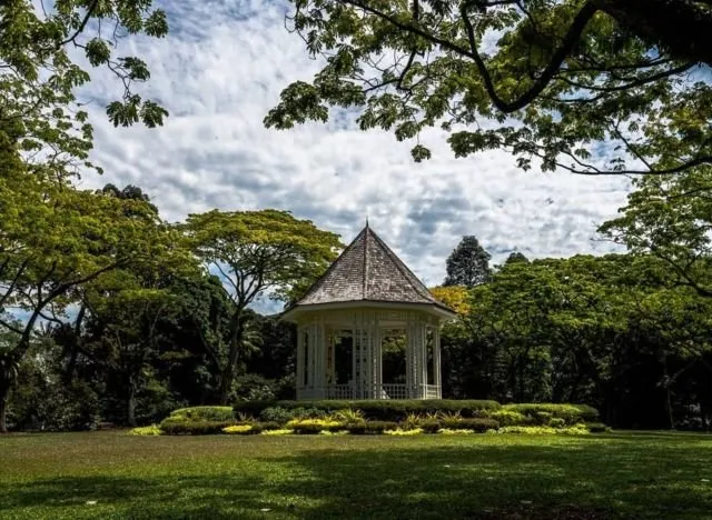15 Destinasi Wisata Gratis di Singapura. Siapa Bilang Liburan ke Singapura Mahal? 21