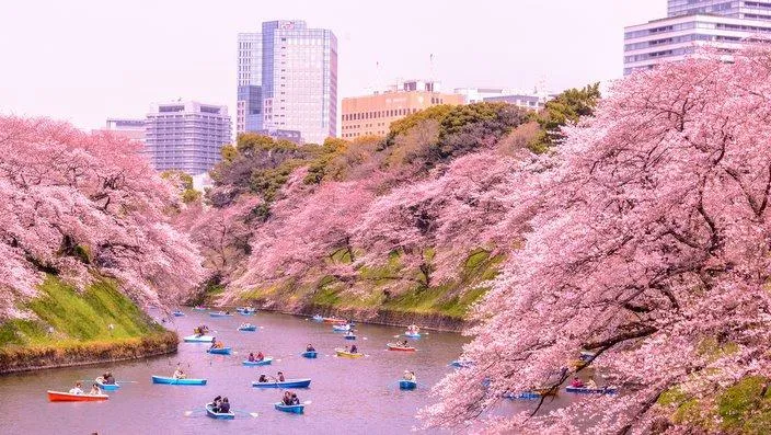 Dapat Liburan 10 Hari, Banyak Pekerja di Jepang Justru Mengeluh. Kenapa ya Alasannya? 5