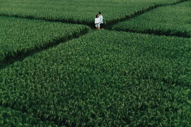 8 Ide Foto Prewedding Outdoor di Sawah yang Keren 11