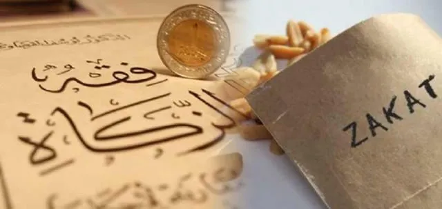 5 Perbedaan Antara Zakat Fitrah dan Zakat Mal. Jangan Keliru, ya! 6 perbedaan zakat fitrah dan zakat mal