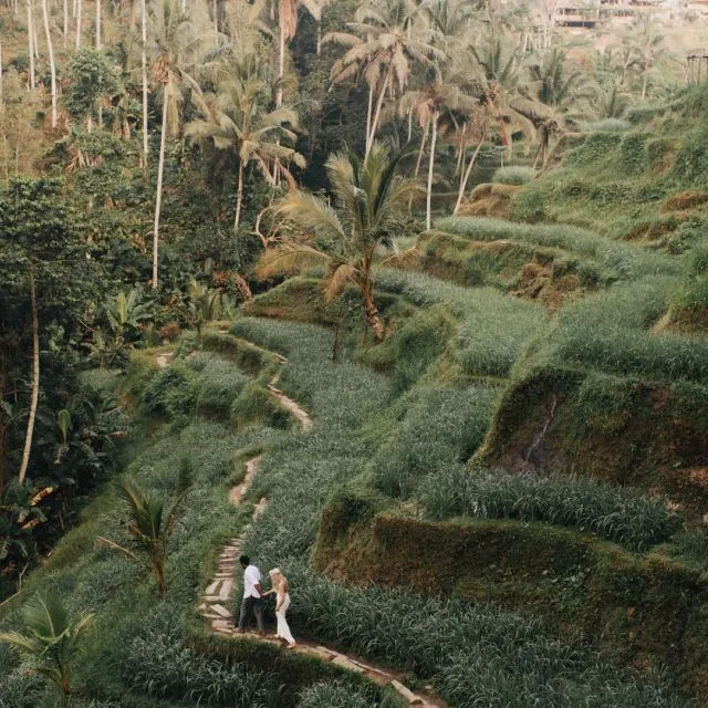 8 Ide Foto Prewedding Outdoor di Sawah yang Keren 14