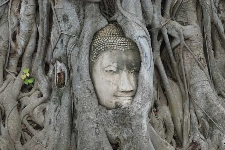 Panduan Travelling ke Ayutthaya, Kota Kuno di Thailand yang Eksotis. Keliling Pake Sepeda Juga Bisa!