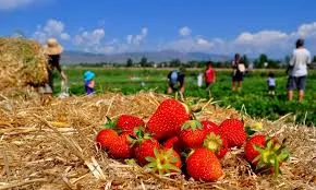 Mengenal Lebih Dekat 7 Jenis Responsible Tourism