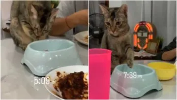 Ikut Sahur dan Buka Puasa, Kucing Lucu ini Mungkin yang Paling Rajin Ibadah dari Spesiesnya~