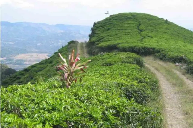 Tempat Wisata di Pekalongan yang Wajib Diexplore 15