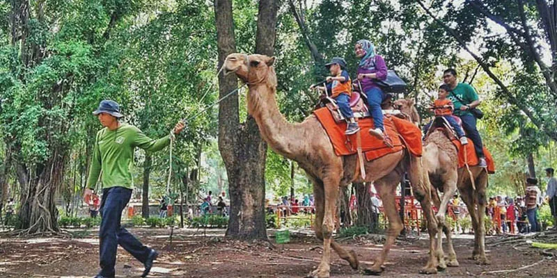 Habiskan Momen Liburanmu Bersama Anak dengan 5 Hal Ini