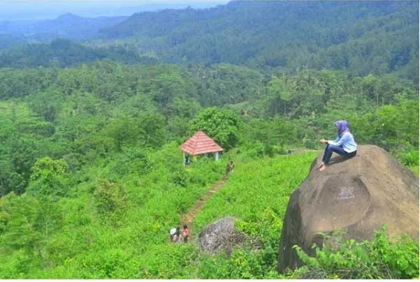 Tempat Wisata di Pekalongan yang Wajib Diexplore 17