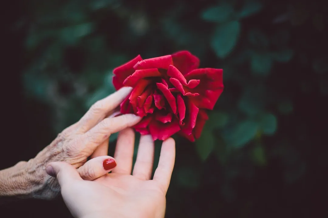 Cinta Tak Selamanya tentang Dia. Inilah Arti dari Cinta yang Sesungguhnya