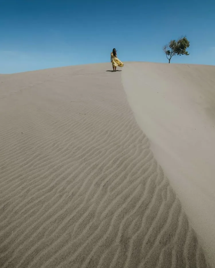 Potret Gumuk Pasir Parangkusumo, Destinasi Wisata ala Timur Tengah yang Hits di Jogja 12