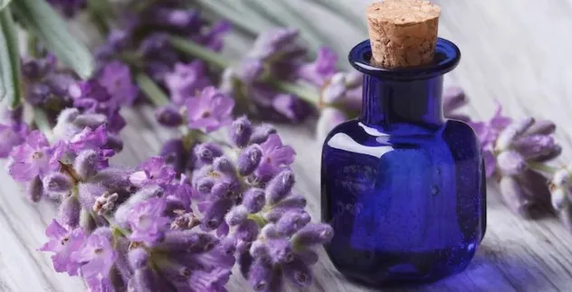 6 Pewangi Laundry yang Paling Wangi Aromanya 9