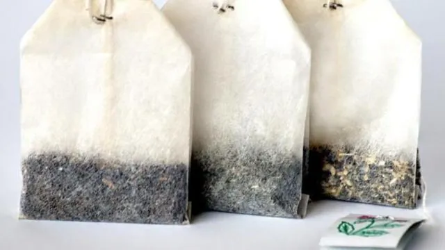 12 Cara Ampuh Mengusir Tikus Tanpa Racun atau Jebakan, Bisa Pakai Daun Mint! 20 mengusir tikus