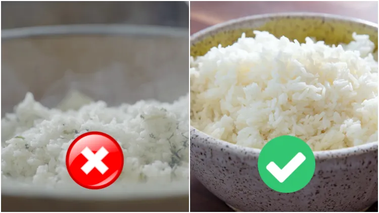 5 Cara Mengurangi Kadar Gula pada Nasi Putih. Nggak Bikin Gemuk, Ngantukan, atau Diabetes Lagi