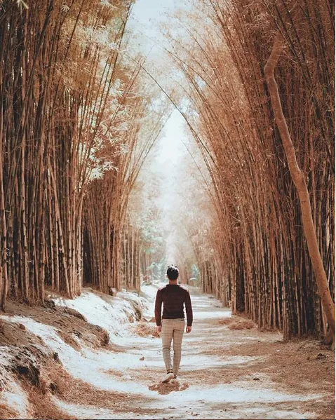 7 Destinasi Wisata Surabaya yang Wajib Kamu Kunjungi. Bikin Betah dan Males Pulang! 9