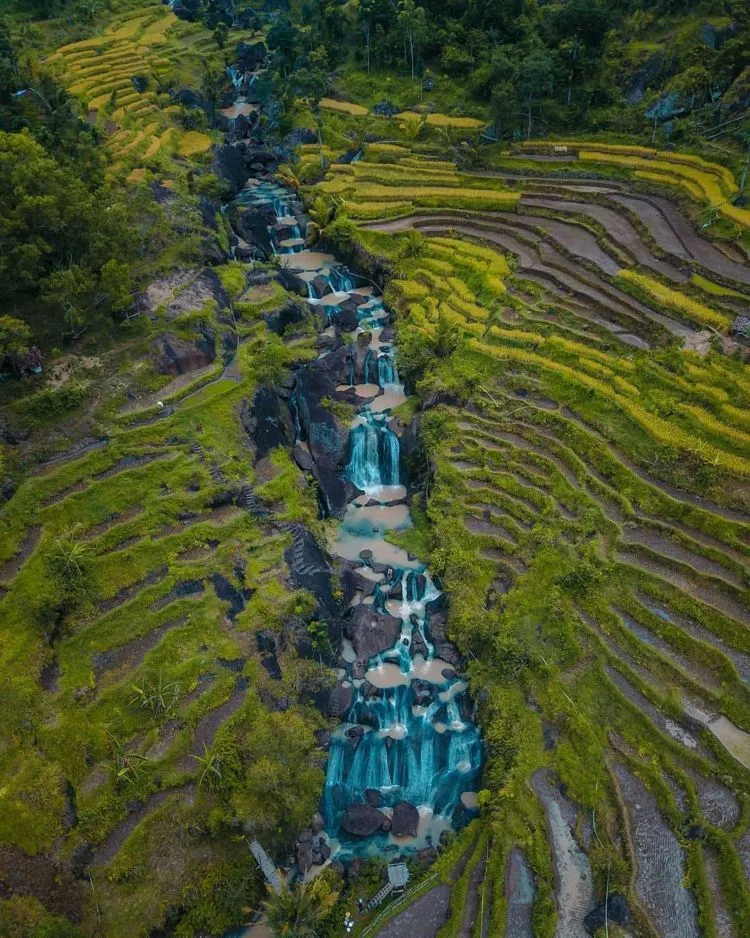 Tempat Wisata di Gunungkidul Jogja yang Hits 2023 16
