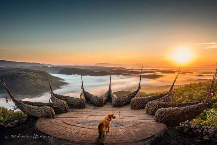 Tempat Wisata di Gunungkidul Jogja yang Hits 2023 17