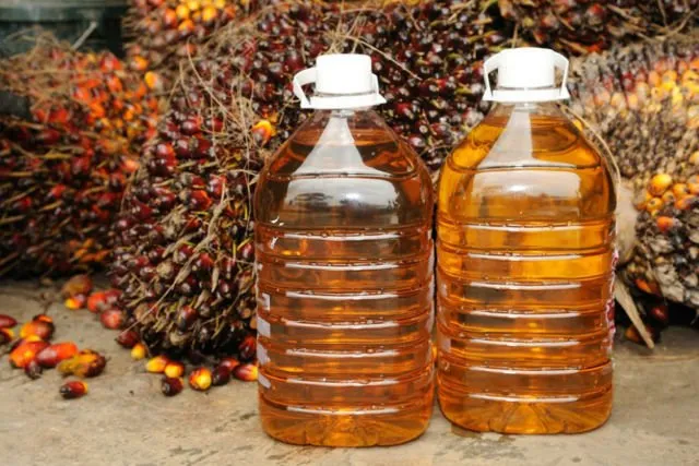 8 Cara Menjernihkan Minyak Goreng Bekas Biar Nggak Risi Dipakai Ulang 10