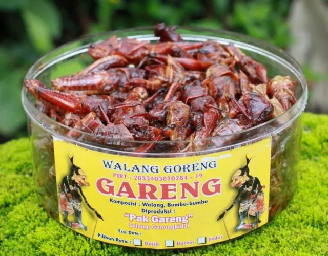 6 Oleh-Oleh Khas Jogja Selain Bakpia yang Enak dan Murah 11