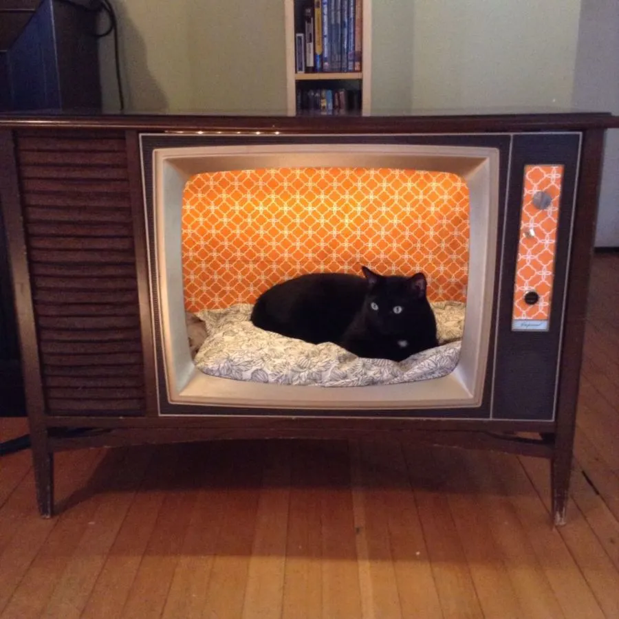 12 Tempat Tidur Kucing ini Buktikan Kalau Pemiliknya Kreatif. Bikin dari Barang Bekas, Gokil! 24