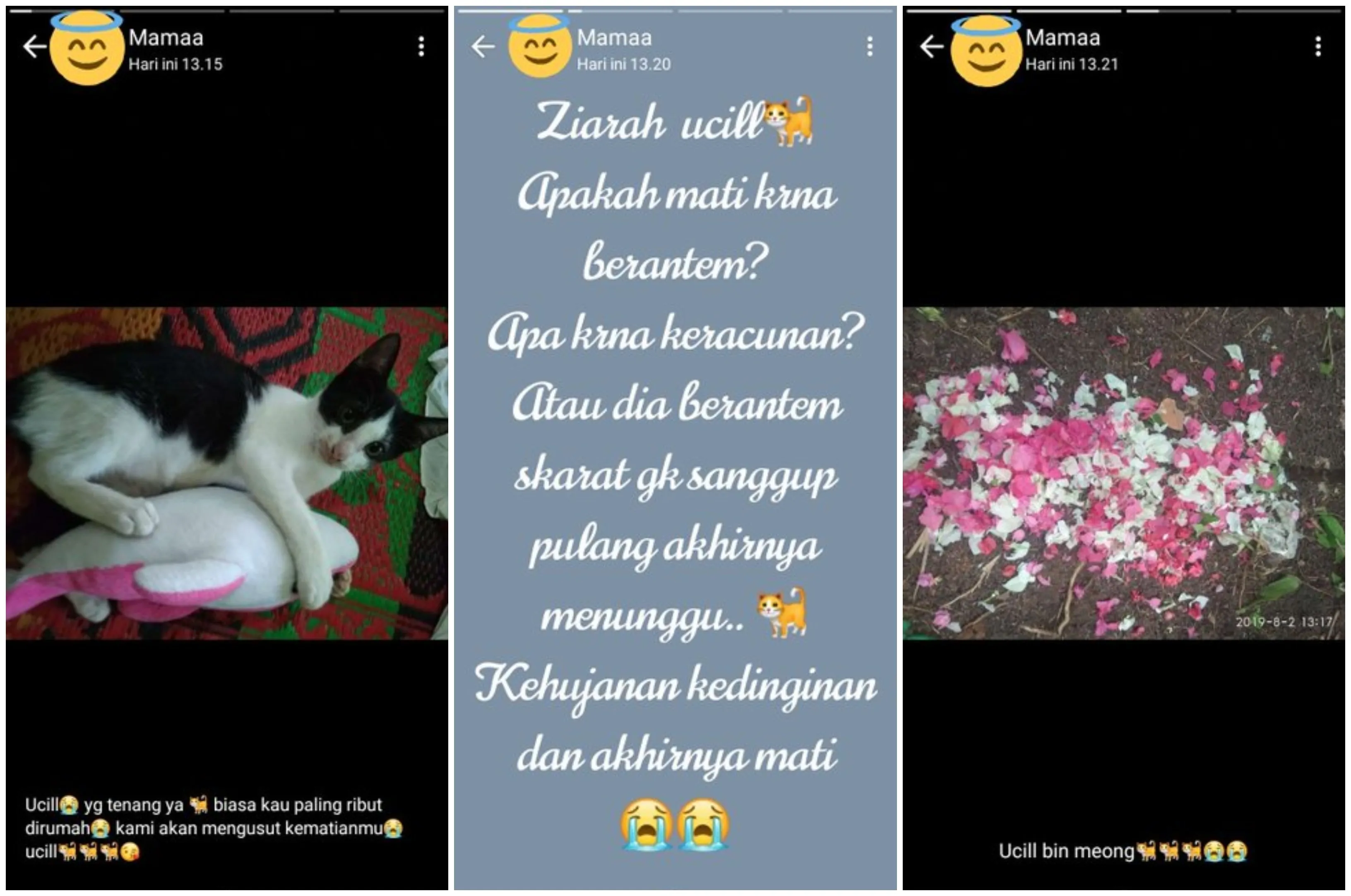 14 Status WA Lucu ala Jokes Orang Tua yang Nggak Terduga 26