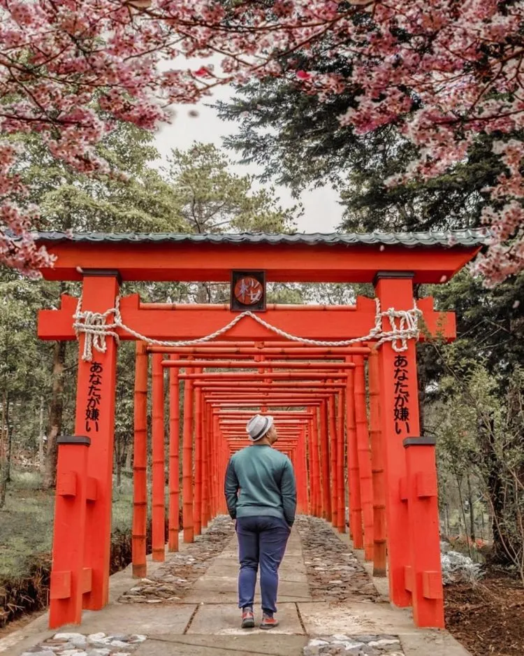 Sakura Hills Tawangmangu, Destinasi ala Jepang di Karanganyar 13