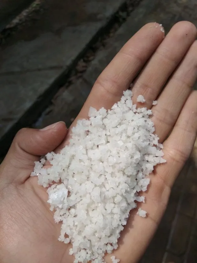 8 Cara Menghilangkan Rasa Pahit Daun Pepaya. Sobat Takut Getir Nggak Khawatir Makan Lagi! 13