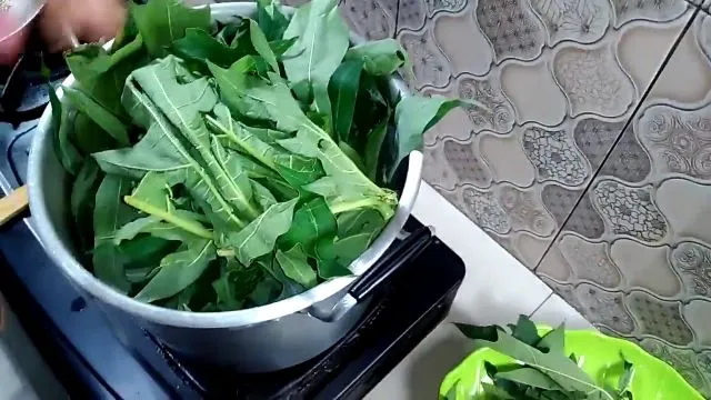 8 Cara Menghilangkan Rasa Pahit Daun Pepaya. Sobat Takut Getir Nggak Khawatir Makan Lagi! 10