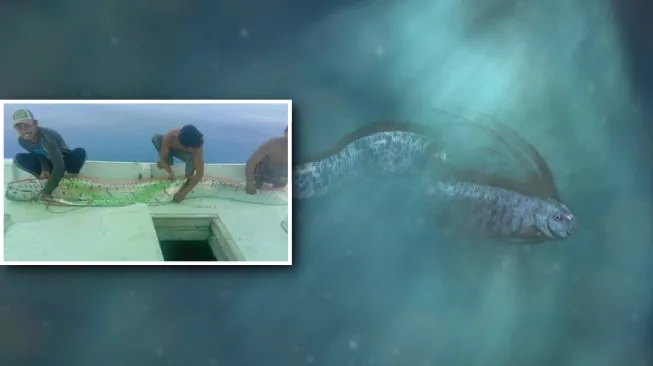 Kemunculan Ikan Oarfish di Sulsel Gegerkan Warga. Katanya Pertanda Tsunami dan Gempa Besar!