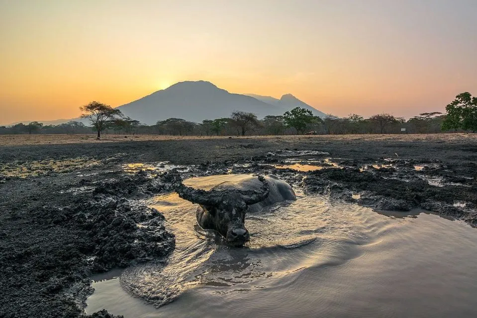 7 Destinasi Wisata Alam yang Cantik di Banyuwangi. Sunrise of Java yang Pemandangannya Juara! 7