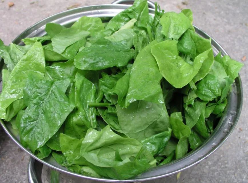 8 Makanan untuk Kekebalan Tubuh Selain Vitamin. Sudah Rutin Konsumsi? 10 sayuran untuk meningkatkan imunitas