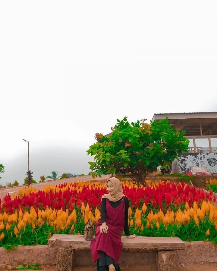 Bukit Idaman Tanggamus, Wisata Instagramable di Lampung 7