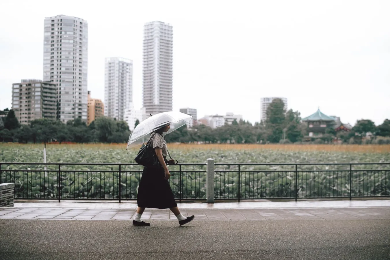 9 Foto Ini Gambarkan Budaya 'Super Solo' di Jepang, Saat Orang Senang Lakukan Apapun Sendirian 8