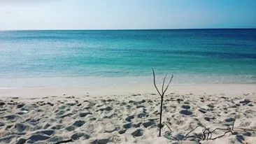 5 Tempat yang Harus Dikunjungi Ketika Berada di Dar es Salaam, Tanzania