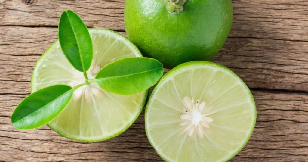 7 Cara Ampuh Menghilangkan Kutu Beras yang Terlanjur Bersarang. Jangan Dibuang, Sayang 14