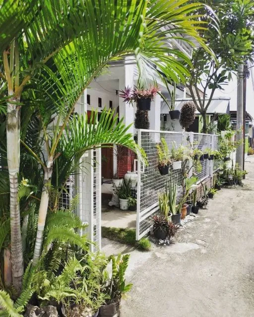10 Desain Taman Minimalis di Teras Rumah yang Sempit 19