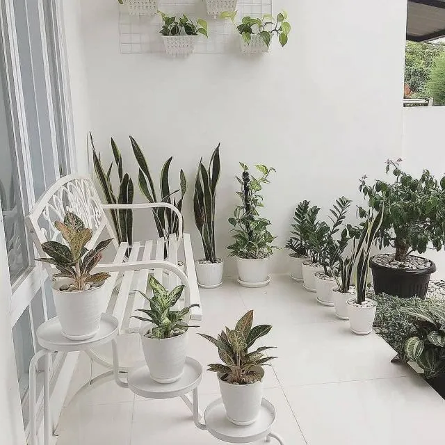 10 Desain Taman Minimalis di Teras Rumah yang Sempit 12