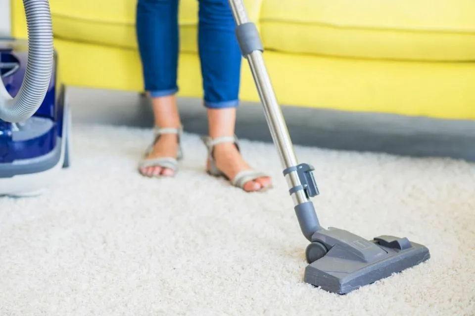 4 Cara Ampuh Membersihkan Karpet Bulu Supaya Nyaman Buat Rebahan 5 cara membersihkan karpet bulu