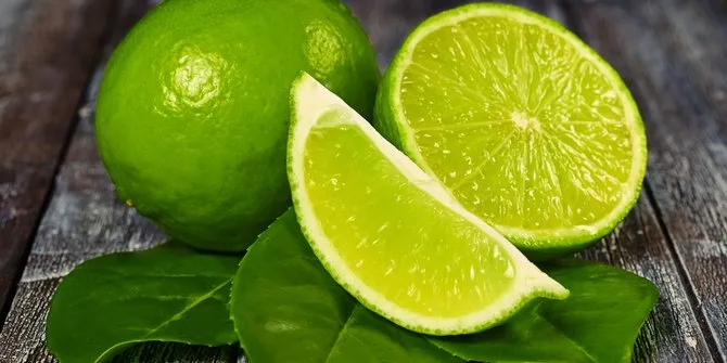 4 Cara Ampuh Membersihkan Karpet Bulu Supaya Nyaman Buat Rebahan 8 cara membersihkan karpet bulu