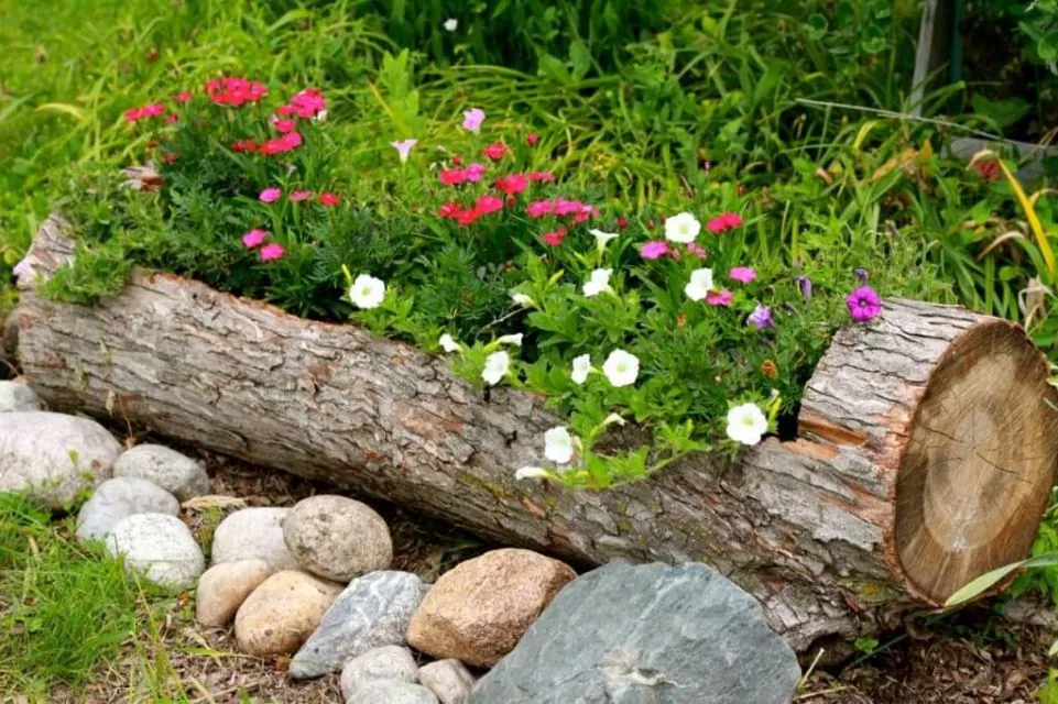 9 Pot Unik yang Bikin Taman Rumahmu Terlihat Nyentrik. Bisa Pakai Rak Gantung Hingga Tas Bekas 10