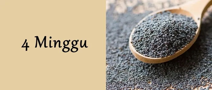 Mengagumi Ukuran Janin dari Minggu ke Minggu. Mulai Seukuran Biji-bijian Hingga Makin Besar! 11
