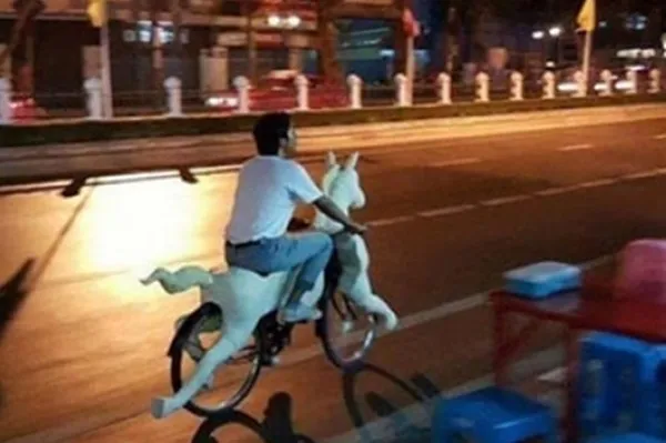 11 Kreativitas Orang yang Ujung-Ujungnya Nyusahin Diri Sendiri. Mau Main Sepeda Aja Ribet, Ampun :( 18