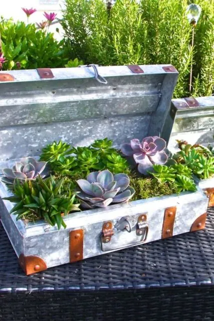 9 Pot Unik yang Bikin Taman Rumahmu Terlihat Nyentrik. Bisa Pakai Rak Gantung Hingga Tas Bekas 15